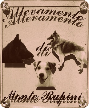 Monte Rupini